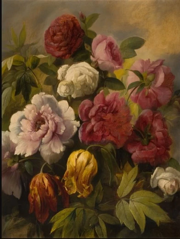 Peonie